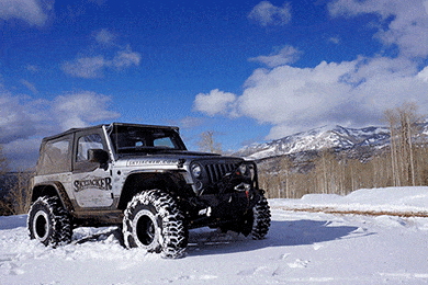 Skyjacker M95 Shocks - Best Price on Skyjacker M95 Performance Monotube Shock Absorbers for Trucks